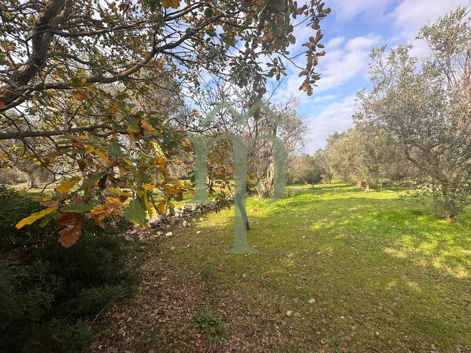 Land in San Vito dei Normanni, Brindisi - photo 4